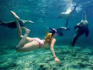 jurien bay snorkling